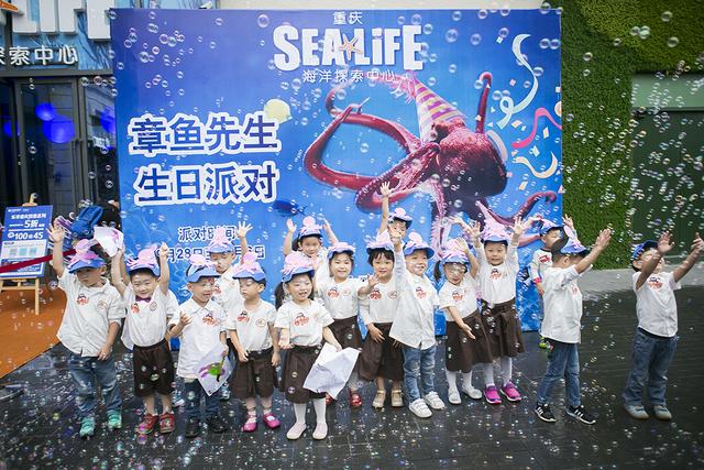 重庆首只太平洋巨型章鱼生日派对盛大举行