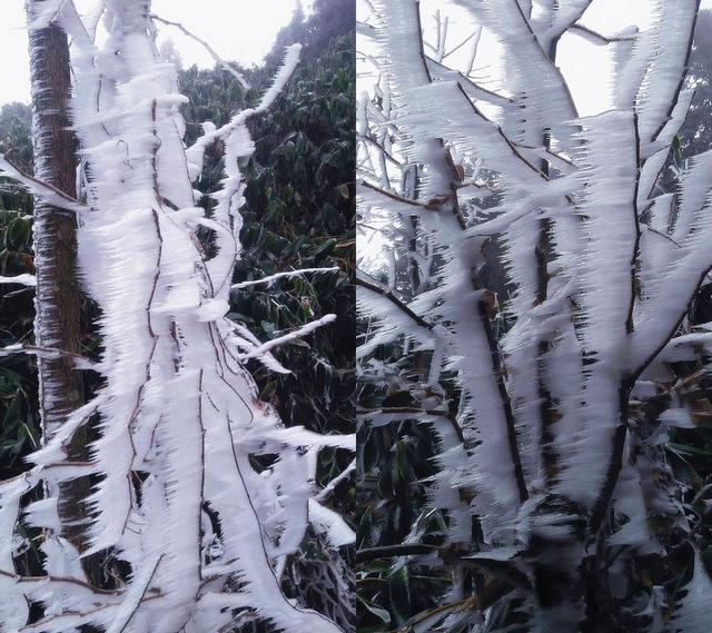 摩围山景区今出现雾凇景观 冰雪美景醉游人