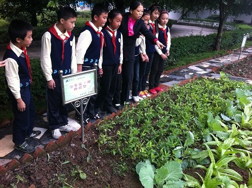 华岩校园留守关爱儿童在行动小学小学景观图片