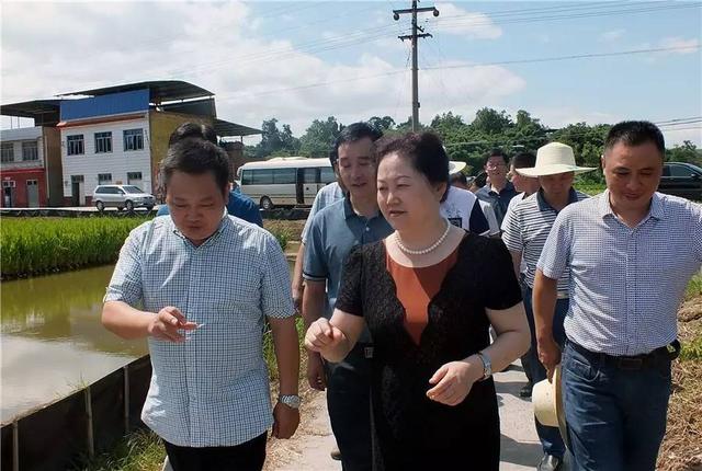 万州区人大常委会主任李庆利在龙沙镇检查脱贫攻坚工作图片