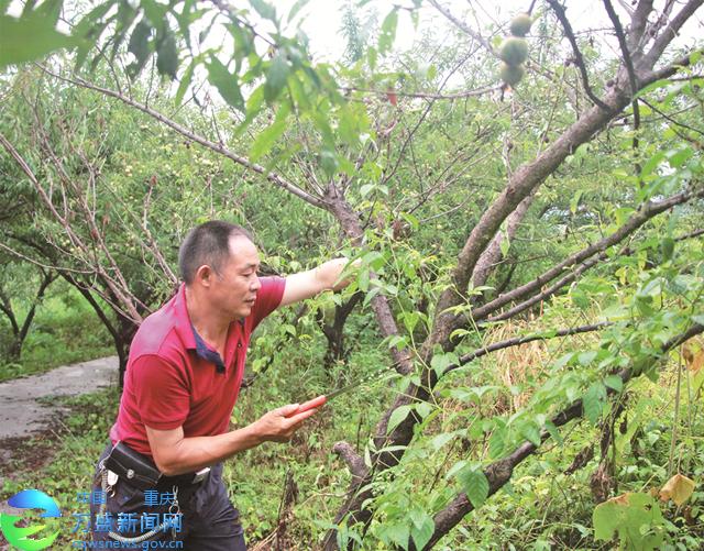 万盛独臂党员摘穷帽 带领村民共同致富