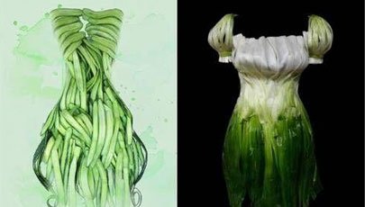 【政务】双河蔬菜文化节_腾讯大渝网_腾讯网