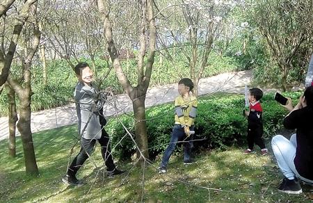 两对夫妻为拍照 抱着樱花树猛摇