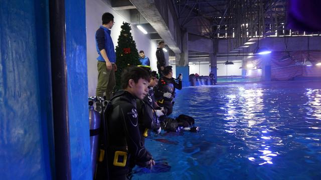重庆惊现10米海底圣诞树 鱼影环绕为圣诞增添新耍事
