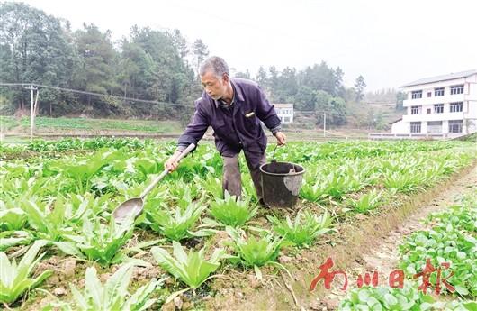 南川厕所改造小变化 农村生产生活条件大进步