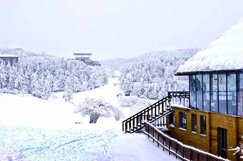 重庆首降大雪+<em>武隆仙女山</em>迎来首批游客感受雪