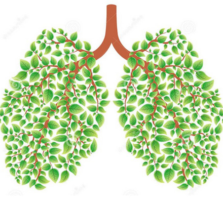 重庆一男子体检发现双肺多发结节 5个结节均为