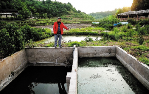 忠县杜绝粪水横流 养殖场实现雨污分离