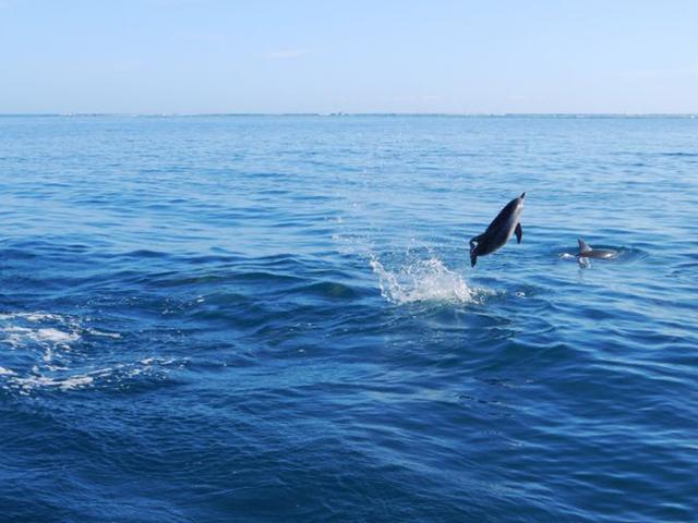 玩儿法：谁说手机拍不出大片儿？