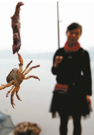 这群上班族爱去江边钓螃蟹 说真的没难度_大渝网_腾讯网