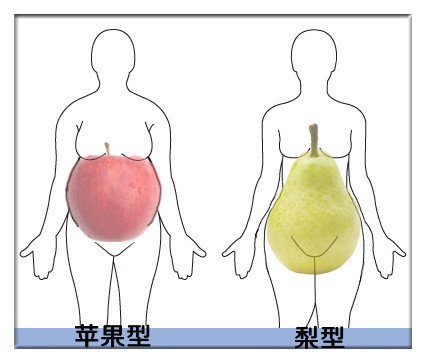梨型身材比苹果型身材患病风险高