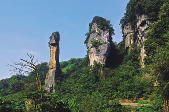 "金佛山十二胜景"评选结果公告