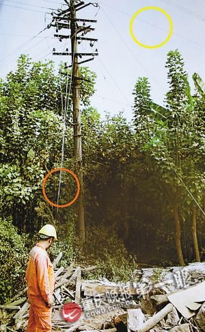 火光闪起小伙倒地 不带电的电线也能电死人?