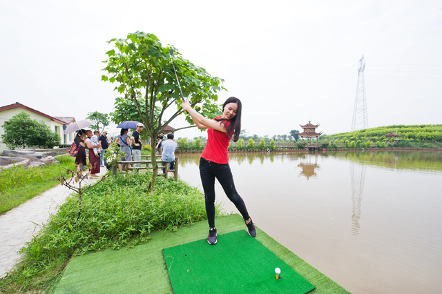 九龙坡互联网+美丽乡村助推农业产业发展