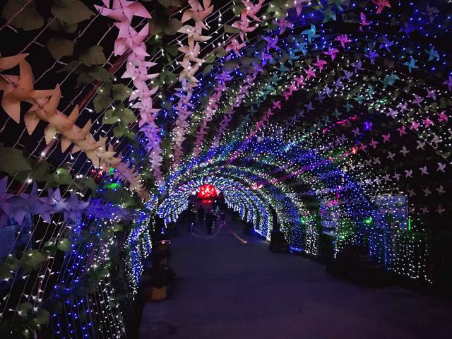 晚上去主城看灯光秀:夜游凤凰花海大型光影秀