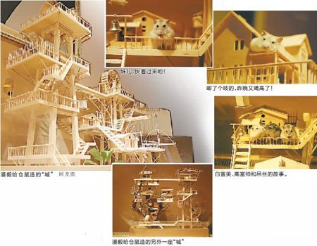 80后网友为仓鼠手工造别墅