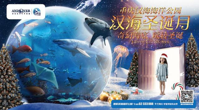 重庆惊现10米海底圣诞树 鱼影环绕为圣诞增添新耍事