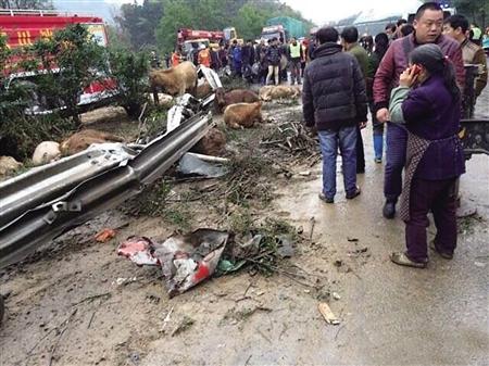 重庆客车四川邻水高速路翻落边坡 7人身亡_大渝网