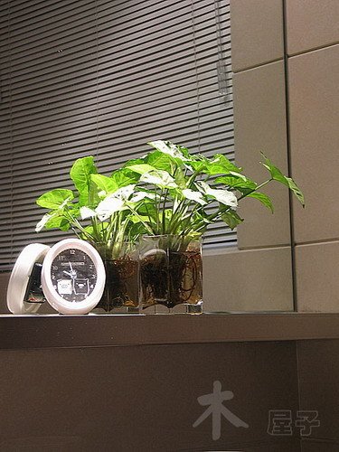 半年辛苦装修 95平米木屋子冬日里的温暖