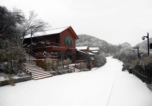 元旦<em>仙女山耍</em>事多 感受雪地的美丽冻人_大渝