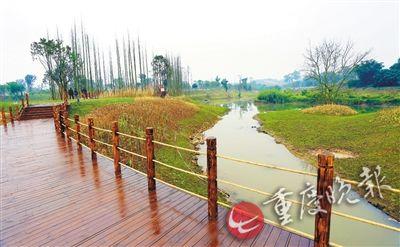 新闻 社会 合川拟建西南最大湿地公园  合川小安溪旁的赵家渡水生态