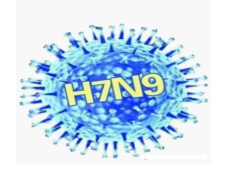 全国1月人感染H7N9禽流感发病192例 死亡79
