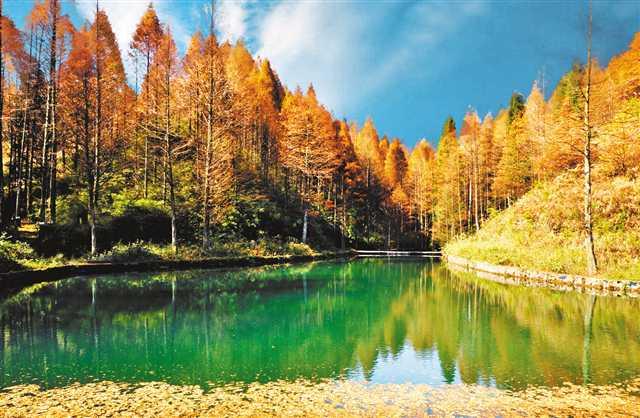 南川区坚持绿色发展理念推进山王坪石漠化治理