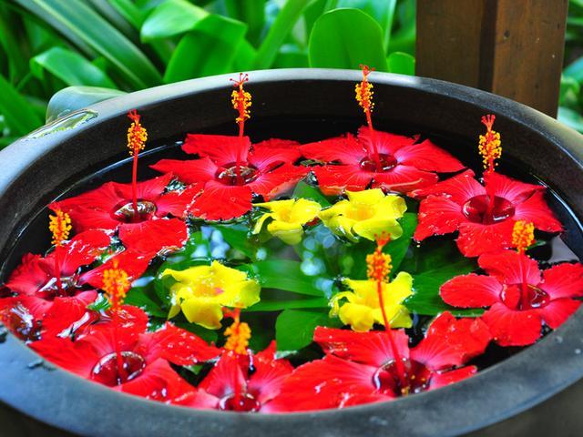 玩儿法：谁说手机拍不出大片儿？