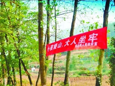 小孩烧山,大人坐牢 防火标语雷翻网友