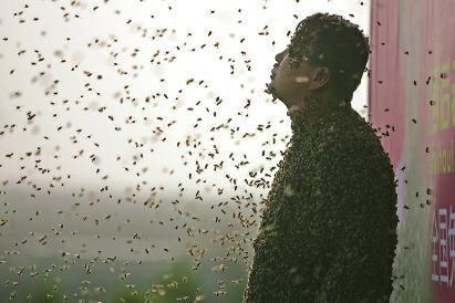 男子引20万只蜜蜂包裹全身 称产生抗体不怕被