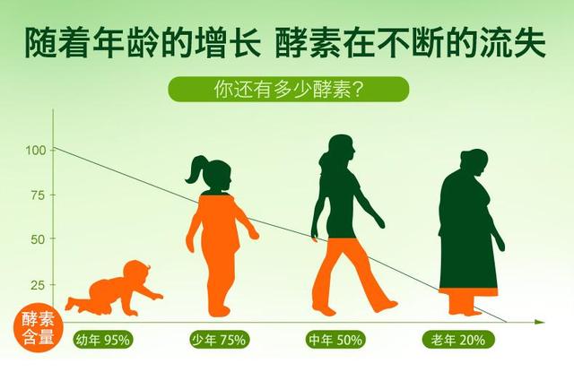 酵素在养生中都有什么功用？