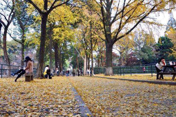 盘点最适合谈恋爱的15个大学校园_大渝网_腾讯网