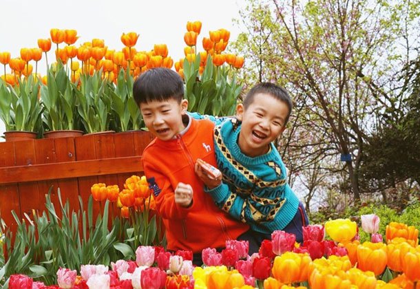 �������⣬����һ�õض��ٻ�����޶��Ƕ��桰�衱��