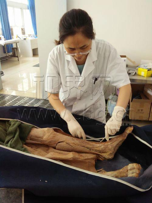 为了学生学解剖 女教师到处“寻找”尸体_大渝网_腾讯网