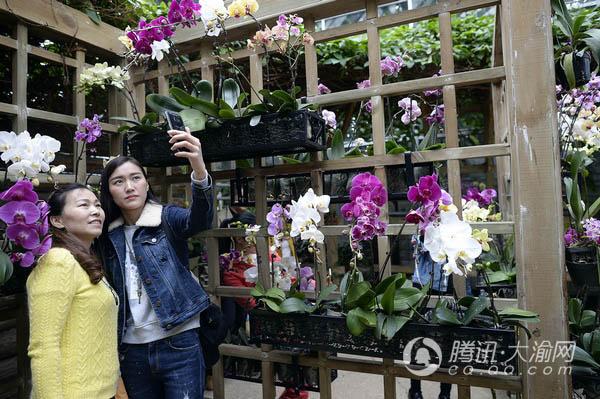 南山植物园温室展览馆等您取名 最高奖金达1万元