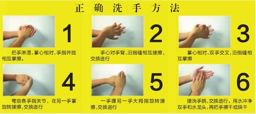 10.15世界洗手日 九成人不会正确洗手专家教你