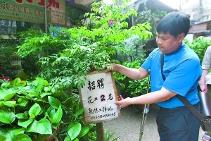 上海鲜花店招聘_鲜花店门头_故事免费鲜花店(2)