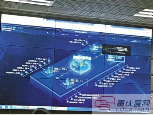 重庆市家庭人口信息平台_重庆市人口密度