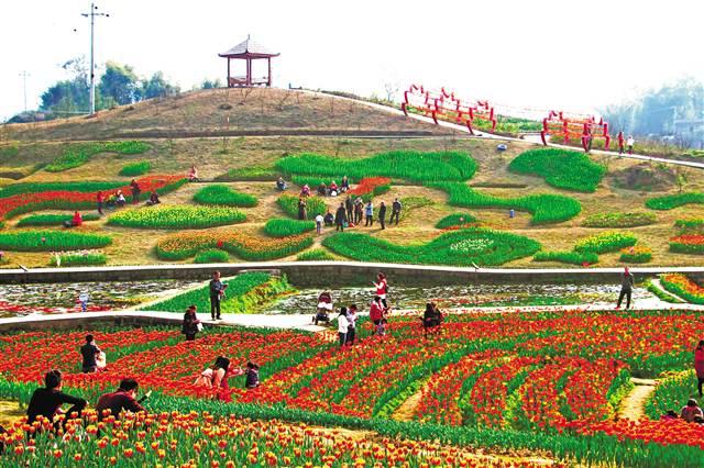 永川区 据了解,今年春节黄金周,永川区共接待游客48万人次,实现旅游