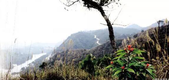 《江津秋游地图》新鲜出炉,一起寻找最美秋色