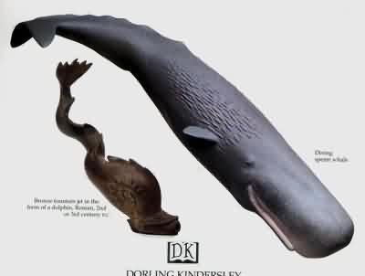 雷人!印度人用牛粪刷牙 大象粪当避孕药_境外