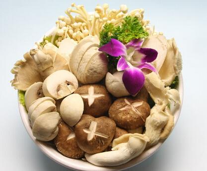 来看“菜中之王”的养生功效