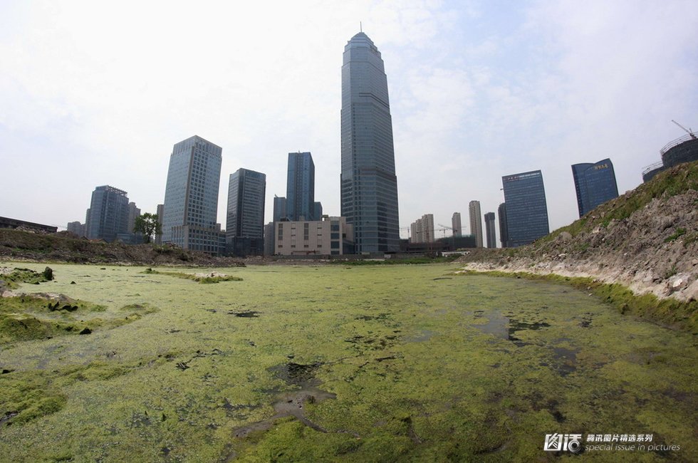 水绵高清图