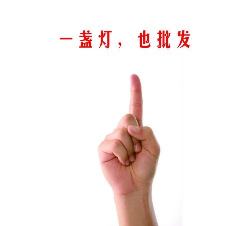 ��Ƚ������������ҵ һյ��Ҳ����