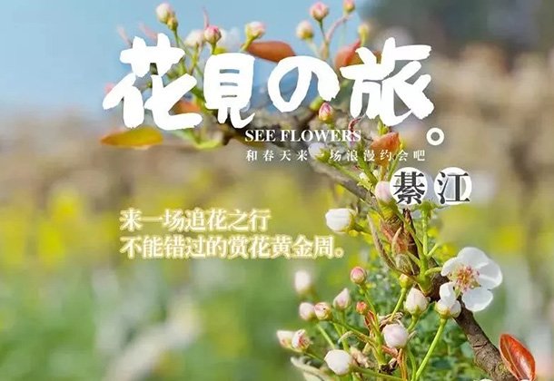 ����˵��滨ʢ�� ���ڽ�����Ͽ�ȥ�ͻ�