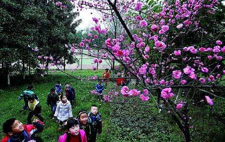 蓮花湖景區)