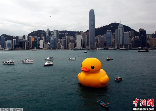 巨型橡皮鸭童趣游香港 维港变身大澡盆