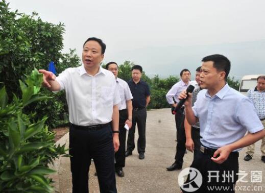开州区委书记何毅调研生态涵养建设