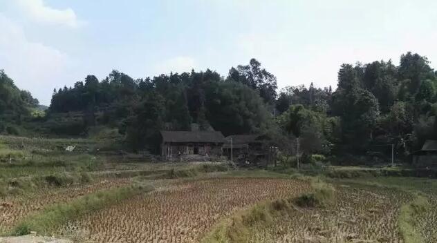 酉阳大山深处的神秘码头 原滋味的古村落