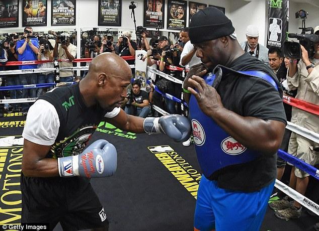 又双叒叒买车了!梅威瑟车库再添百万豪车